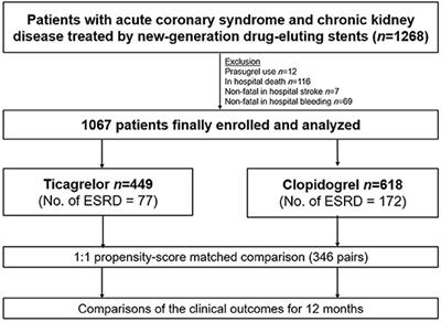 Ticagrelor vs. Clopidogrel in Acute Coronary Syndrome Patients With Chronic Kidney Disease After New-Generation Drug-Eluting Stent Implantation